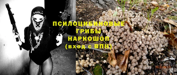 метадон Новодвинск