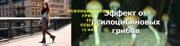 экстази Новозыбков