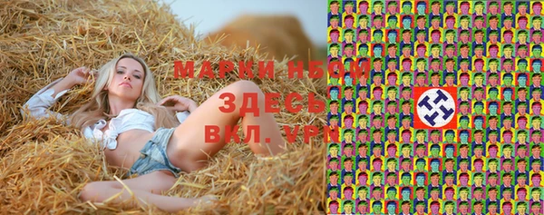 мдпв Туринск